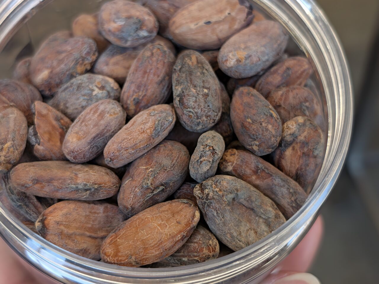 ダンデライオン・チョコレート 清澄白河ファクトリーがオープン